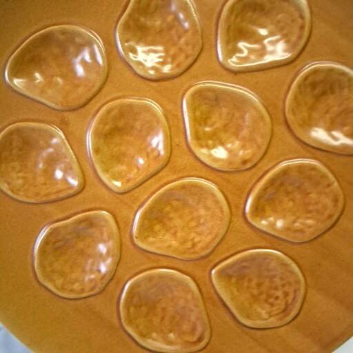 Brown ceramic oyster serving dish in good condition