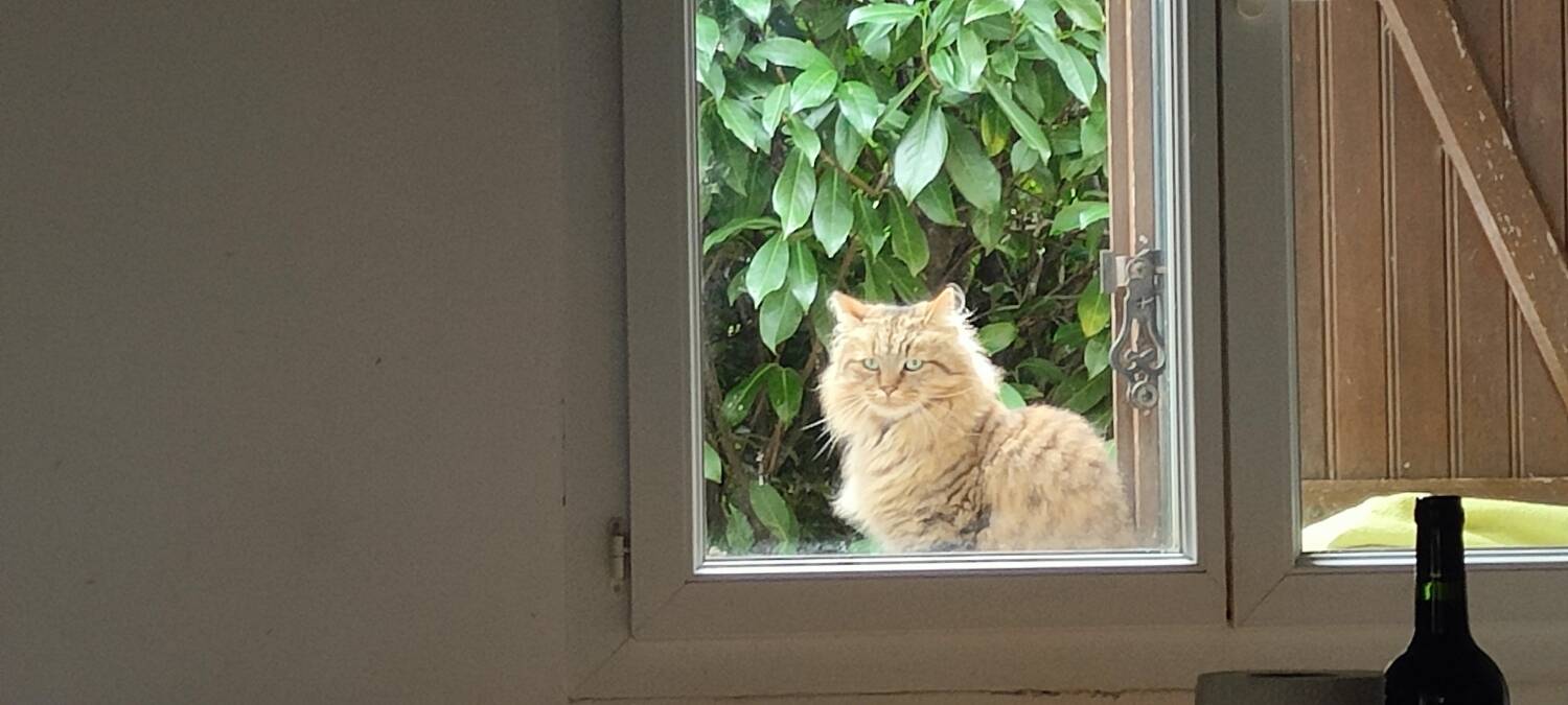 Hexagonal Pendant Lamp by Erik Höglund