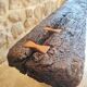 Banc buraliste centenaire