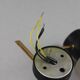 Pair of wall sconces 1950s style Arlus Lunel