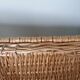 Wicker crate, very large basket