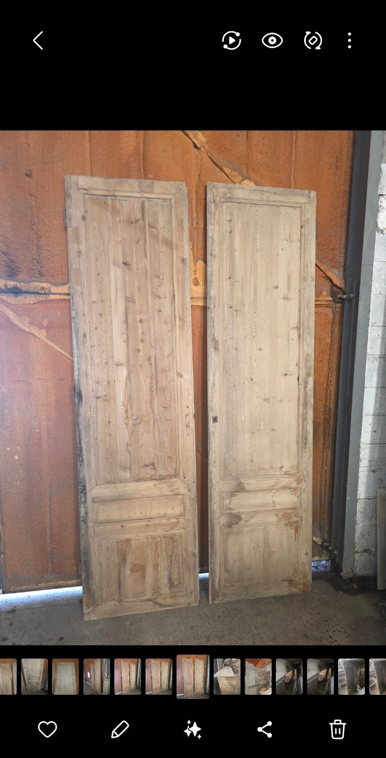 Pair of doors, 19th century