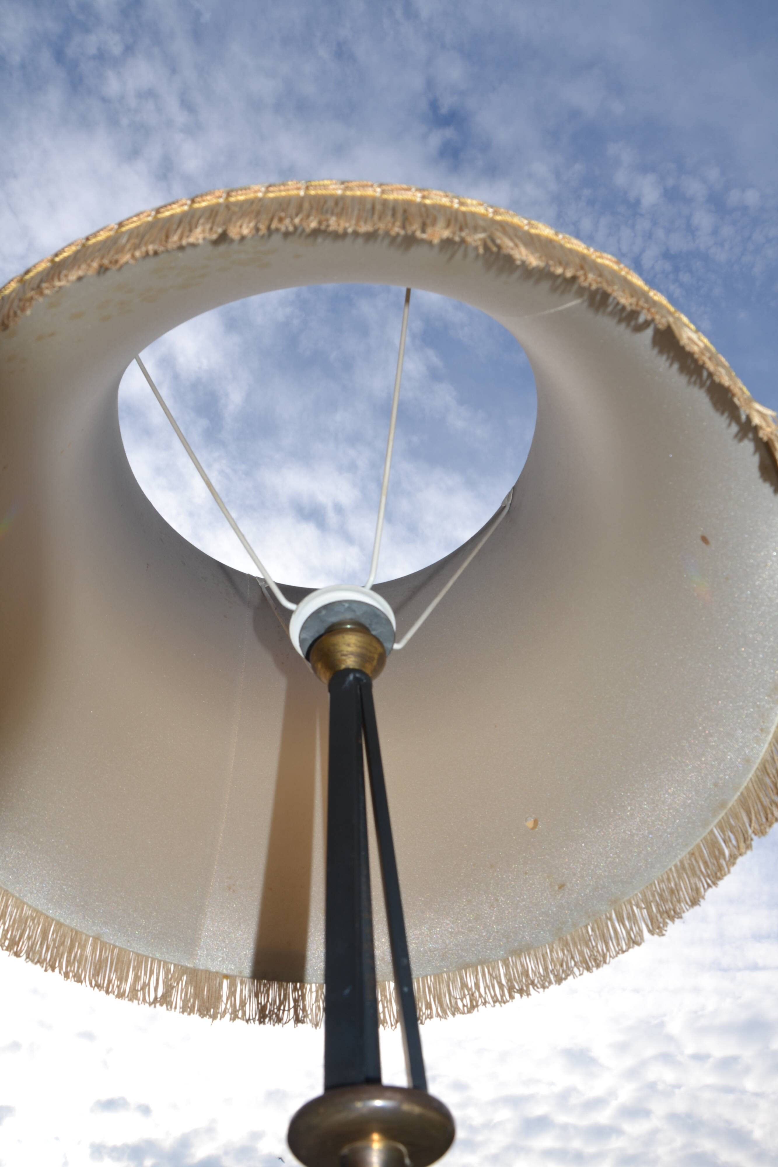 Vintage Sèvres crystal and wrought iron floor lamp from the 1950s