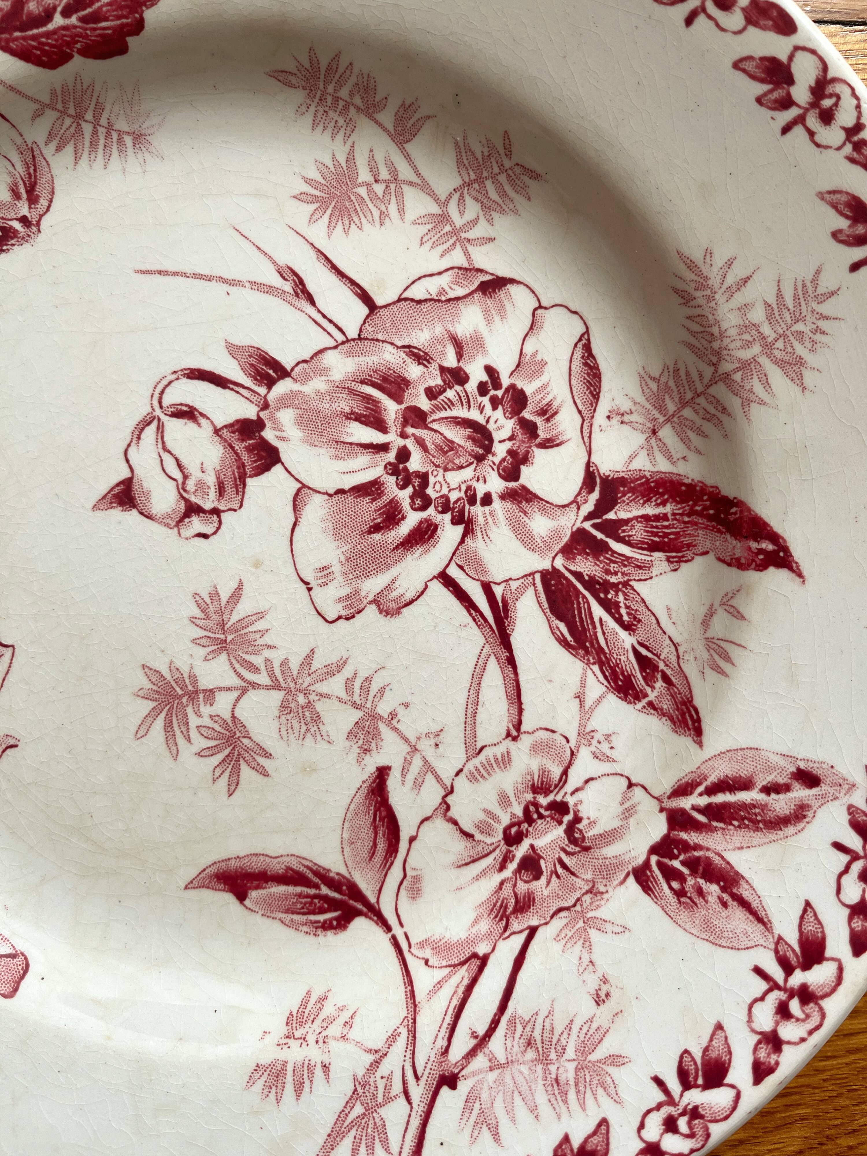 4 flat plates in iron earth Rose de Noël, Opaque de Gien