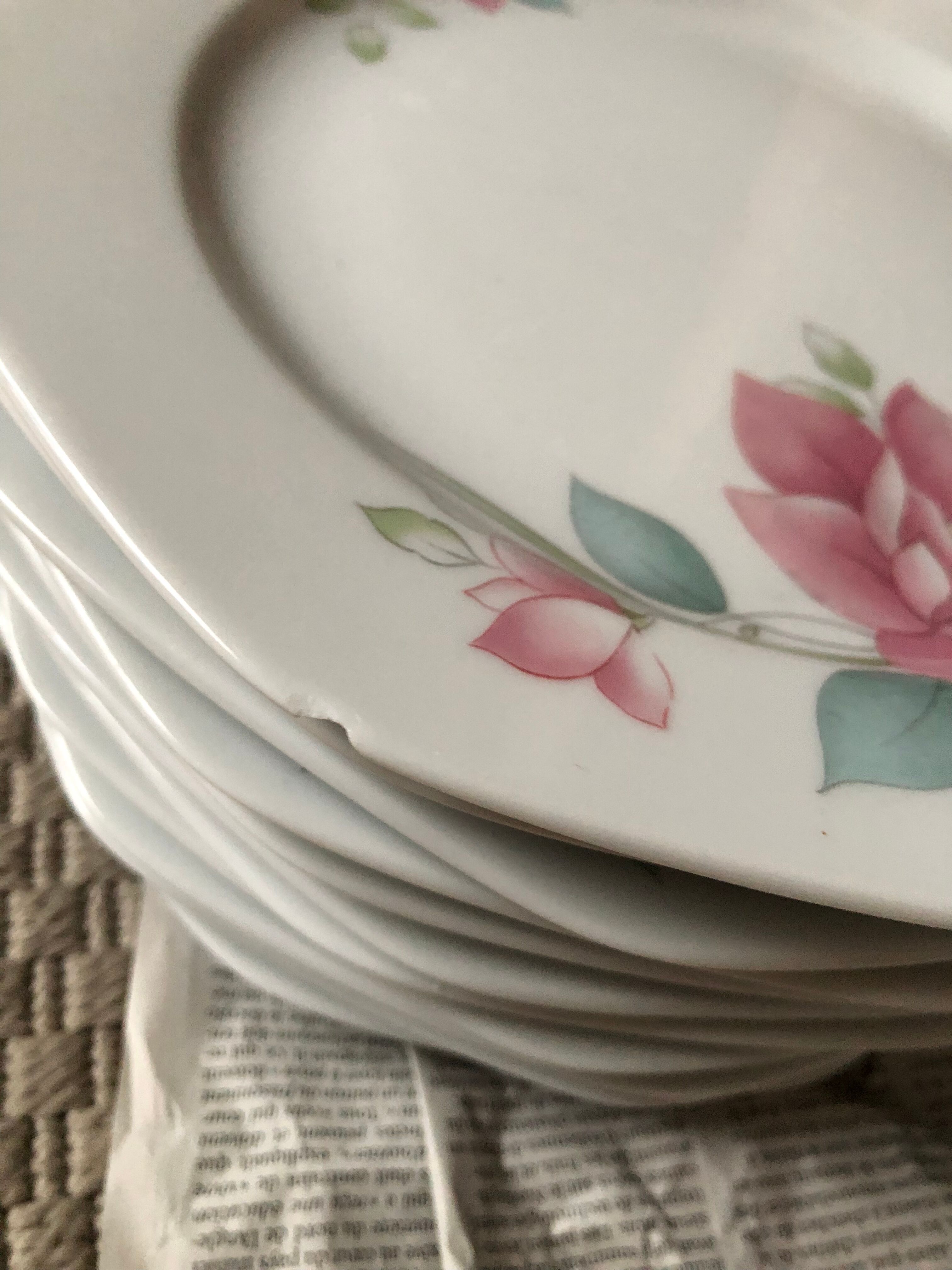 Porcelain plate service