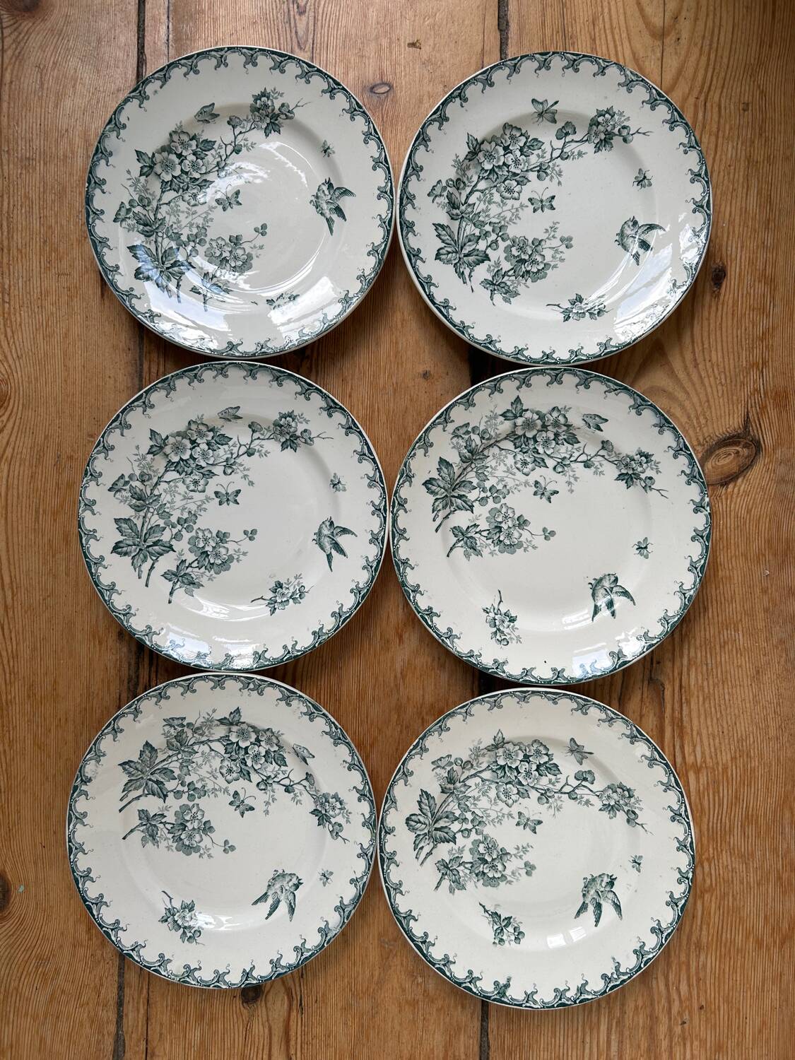 Series of 6 old flat plates “Terre de Fer”