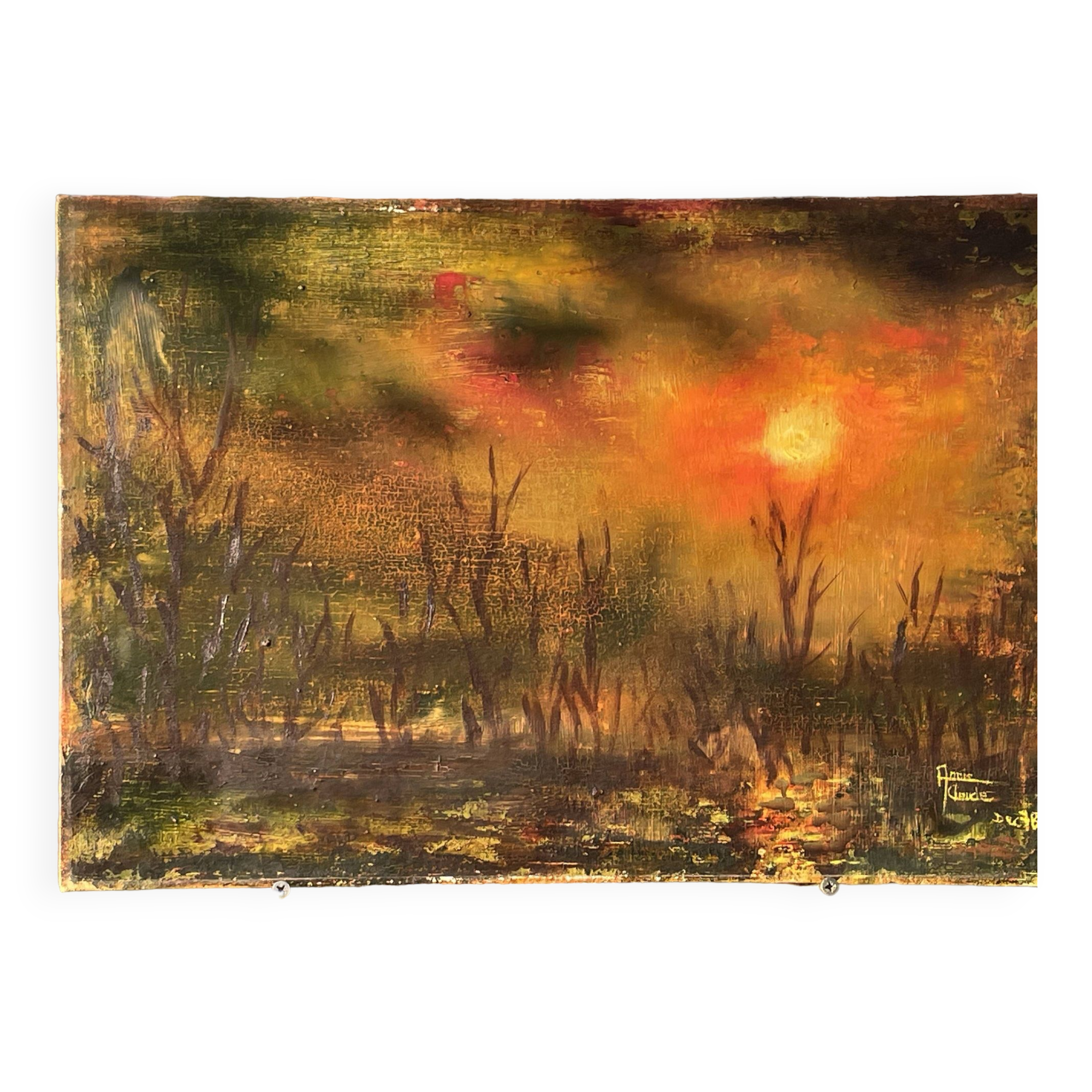 Oil on canvas / annie-claude (ferrando) - 38 x 55 cm - dec.78