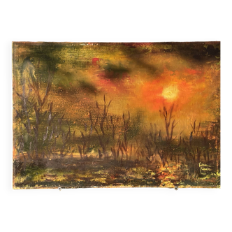 Oil on canvas / annie-claude (ferrando) - 38 x 55 cm - dec.78