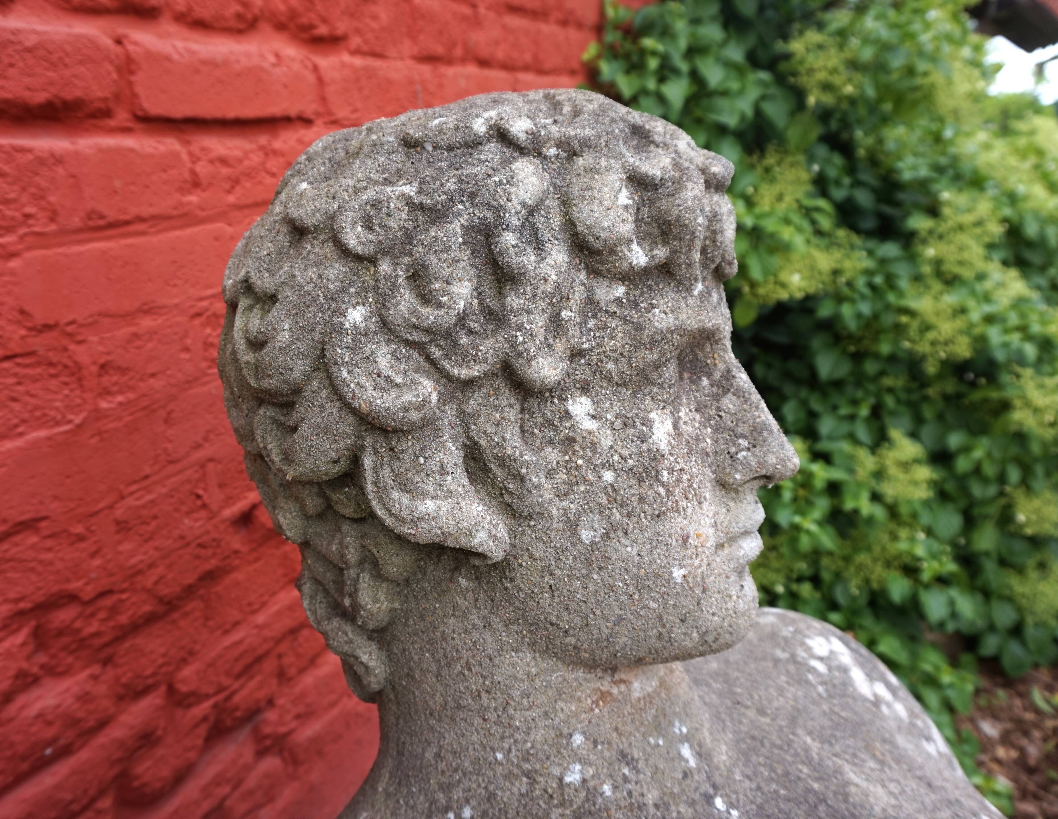 Weathered garden sculpture David concrete bust