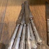 Saglier Brothers cutlery cutlery 48 pieces