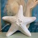 Porcelain wall lamp starfish design