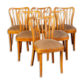 6 Upholstered wooden Mid century Dining Chairs