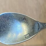 Salt spoon