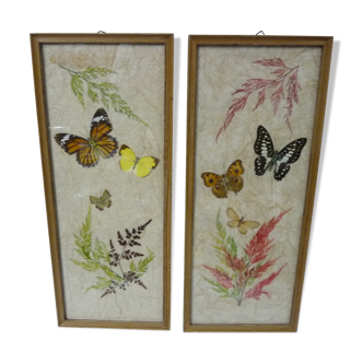 Lot of 2 frame butterflies and flowers