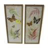 Lot de 2 cadre papillons et fleurs