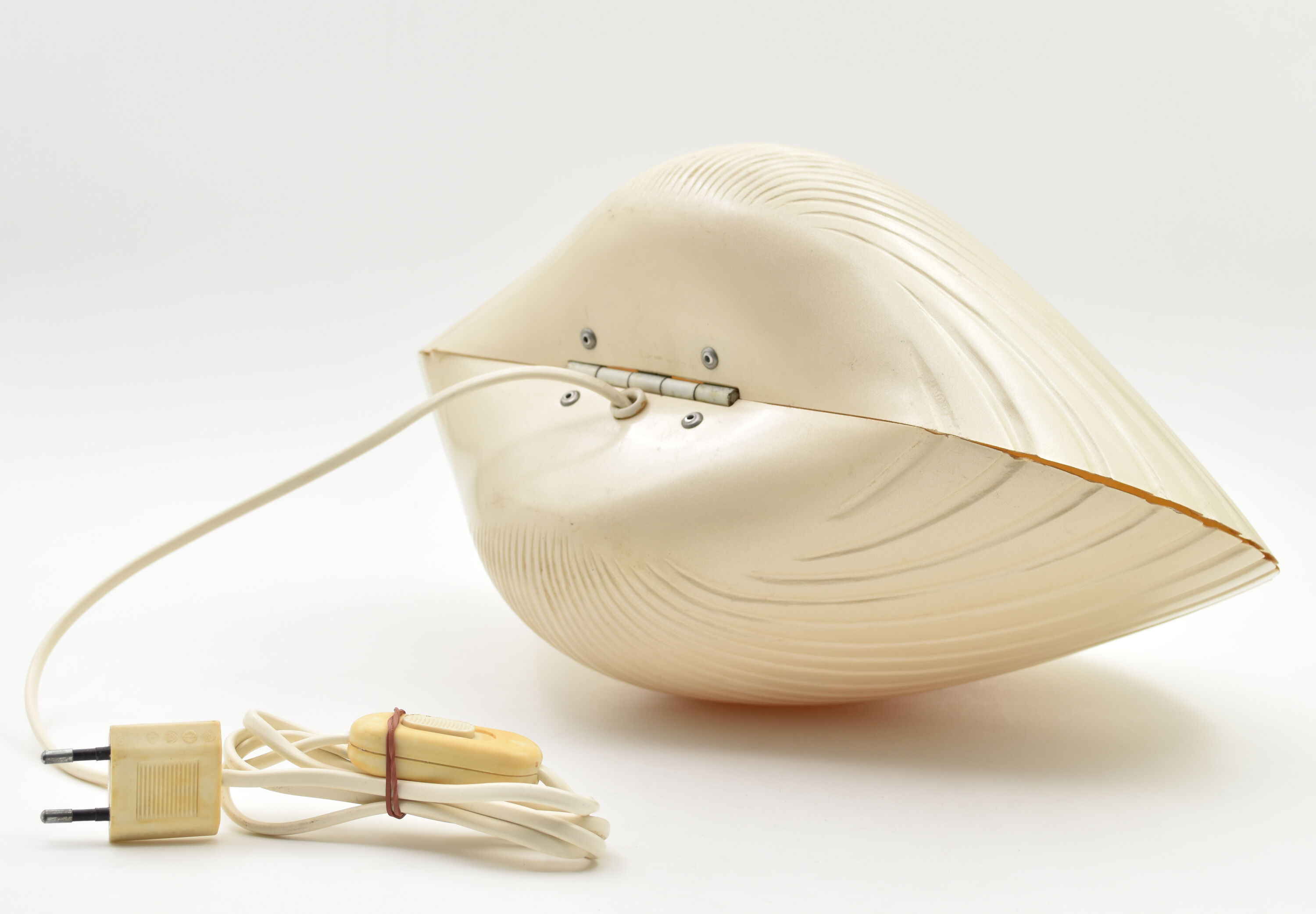 Lamp shell Saint Jacques fiber