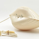 Lamp shell Saint Jacques fiber