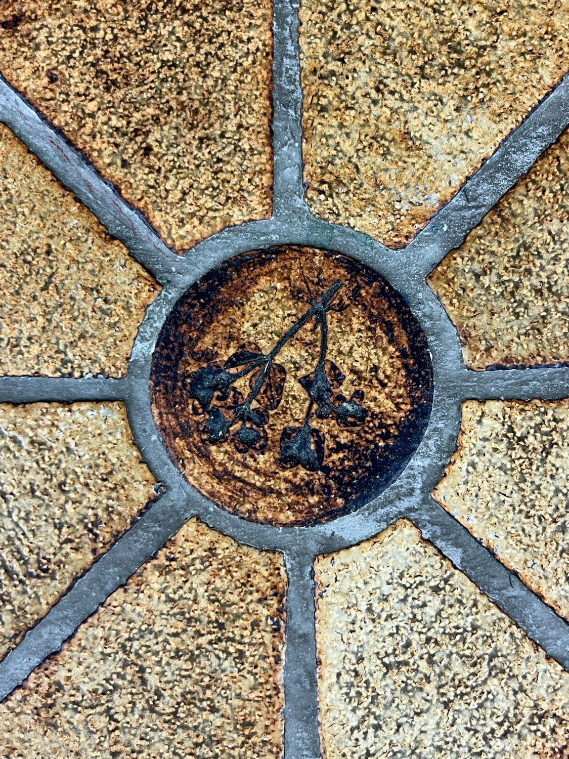 Coffee table Roger Capron herbarium