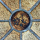 Coffee table Roger Capron herbarium