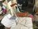 Wooden folding children's chair
