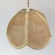 Vintage suspension in natural fibers