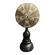 Cabinet of Curiosities sea urchin flower toxopneustes pileolus on a base