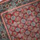 Tapis Antique Khotan d'Asie Centrale, Années 1900, Élégance Authentique
