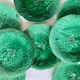 8 plates in leaf slurry