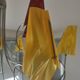 Suspension House Le Dauphin