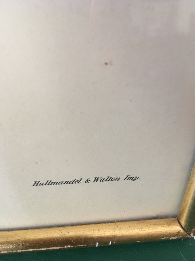 Ornithological board "Platycercus Icterotis" J C Gould H C Richter.