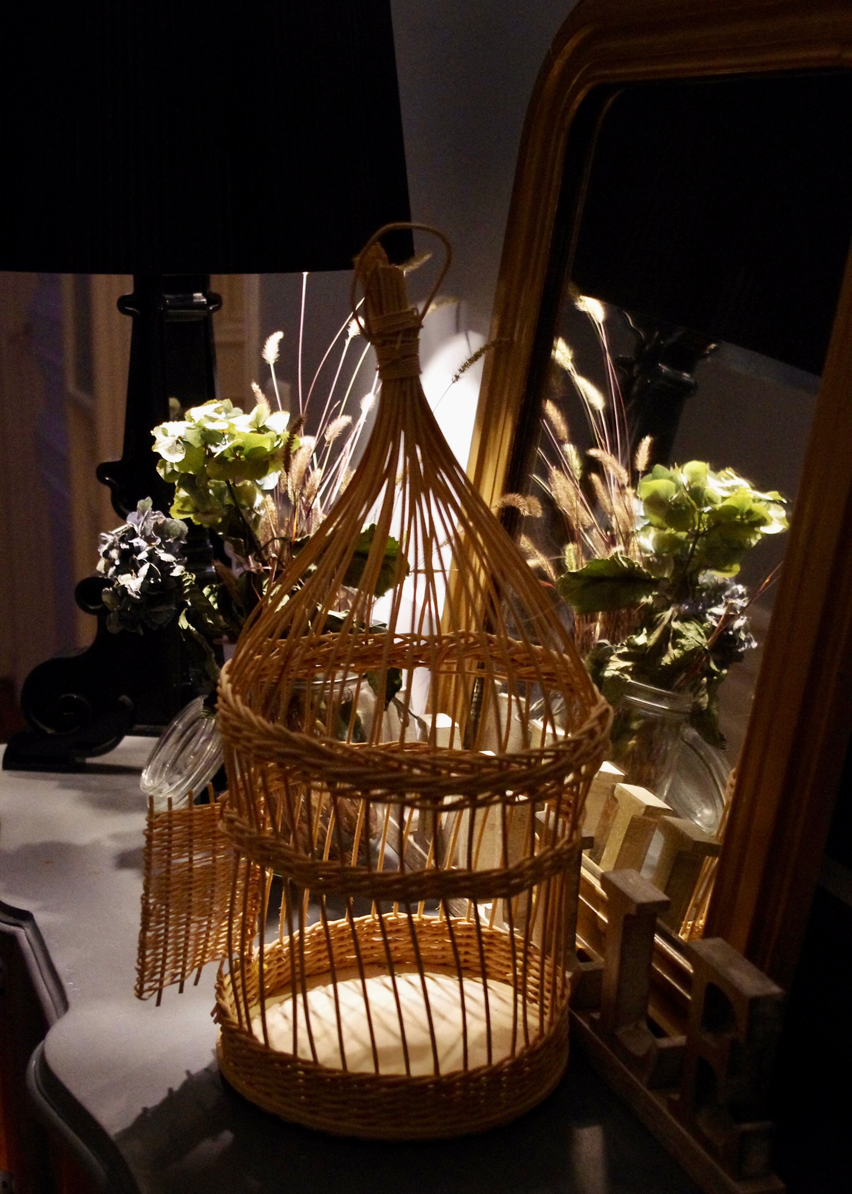 Cage rattan and wicker birds