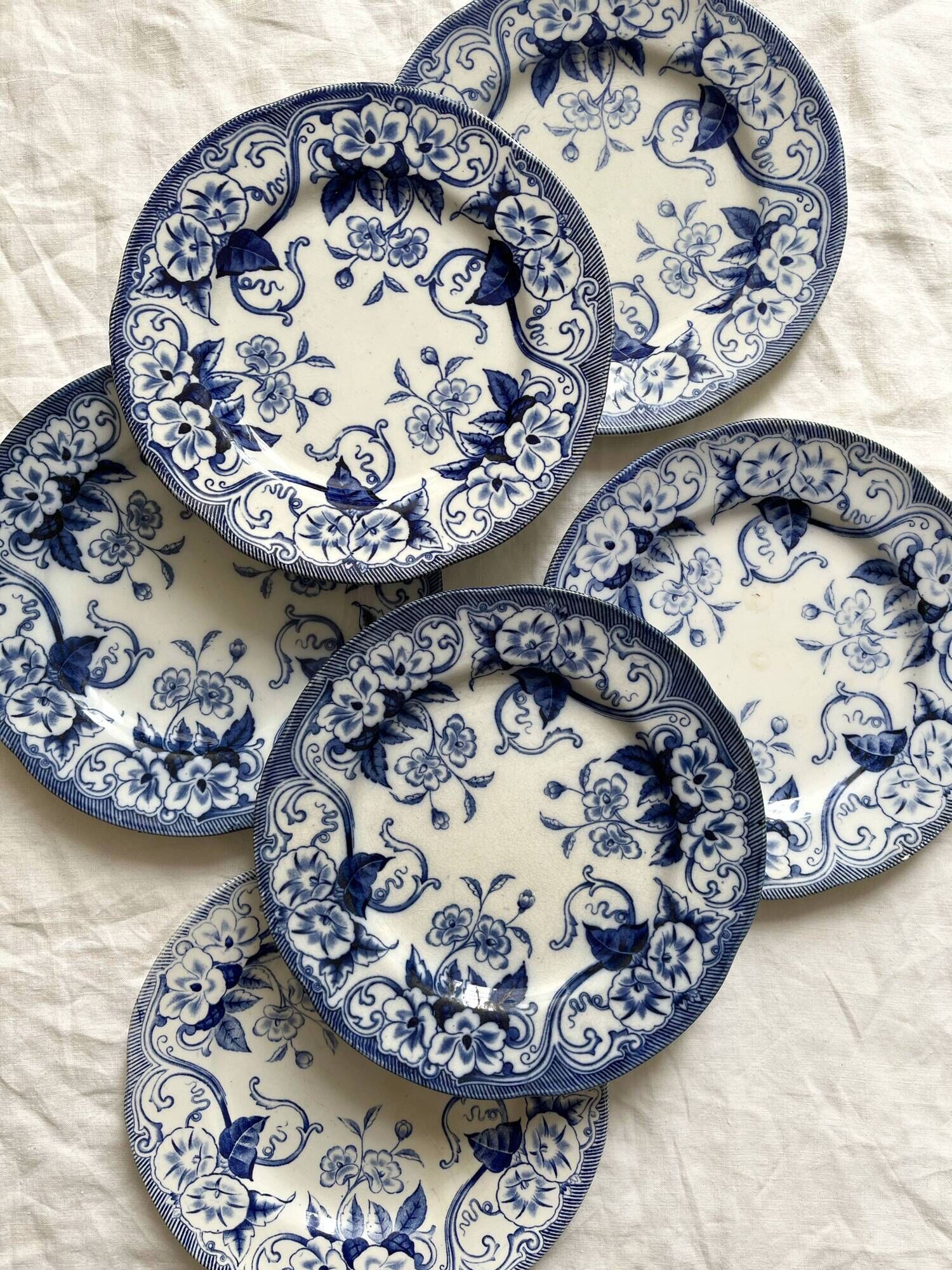 6 dessert plates in iron earth Flora, Creil and Montereau late nineteenth