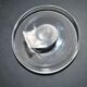 Lalique ashtray bowl Cheeky Sparrow crystal frosted and signed