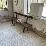 Banc « T » orme Aranjou