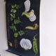 POIS botanical poster by Jung Koch Quentell, created in 1953, printed in Germany in 1985