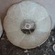 Old lampshade in pork bladder - trimess