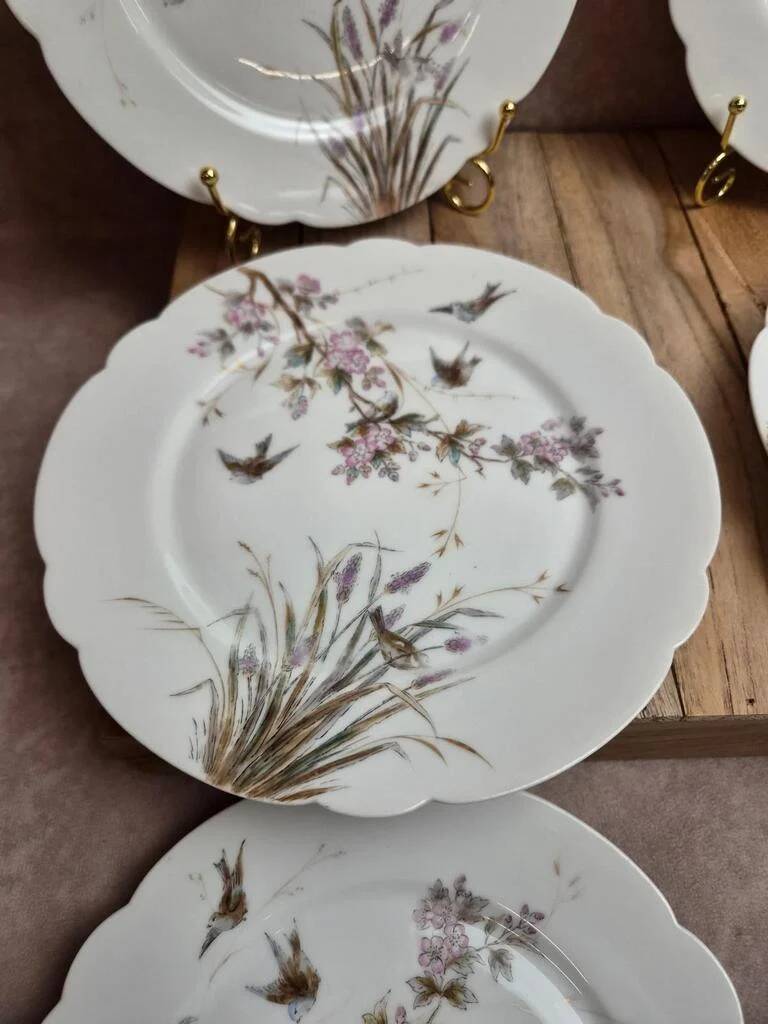 Set of 7 antique porcelain plates – Decorated with polychrome birds and flowers