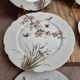 Set of 7 antique porcelain plates – Decorated with polychrome birds and flowers