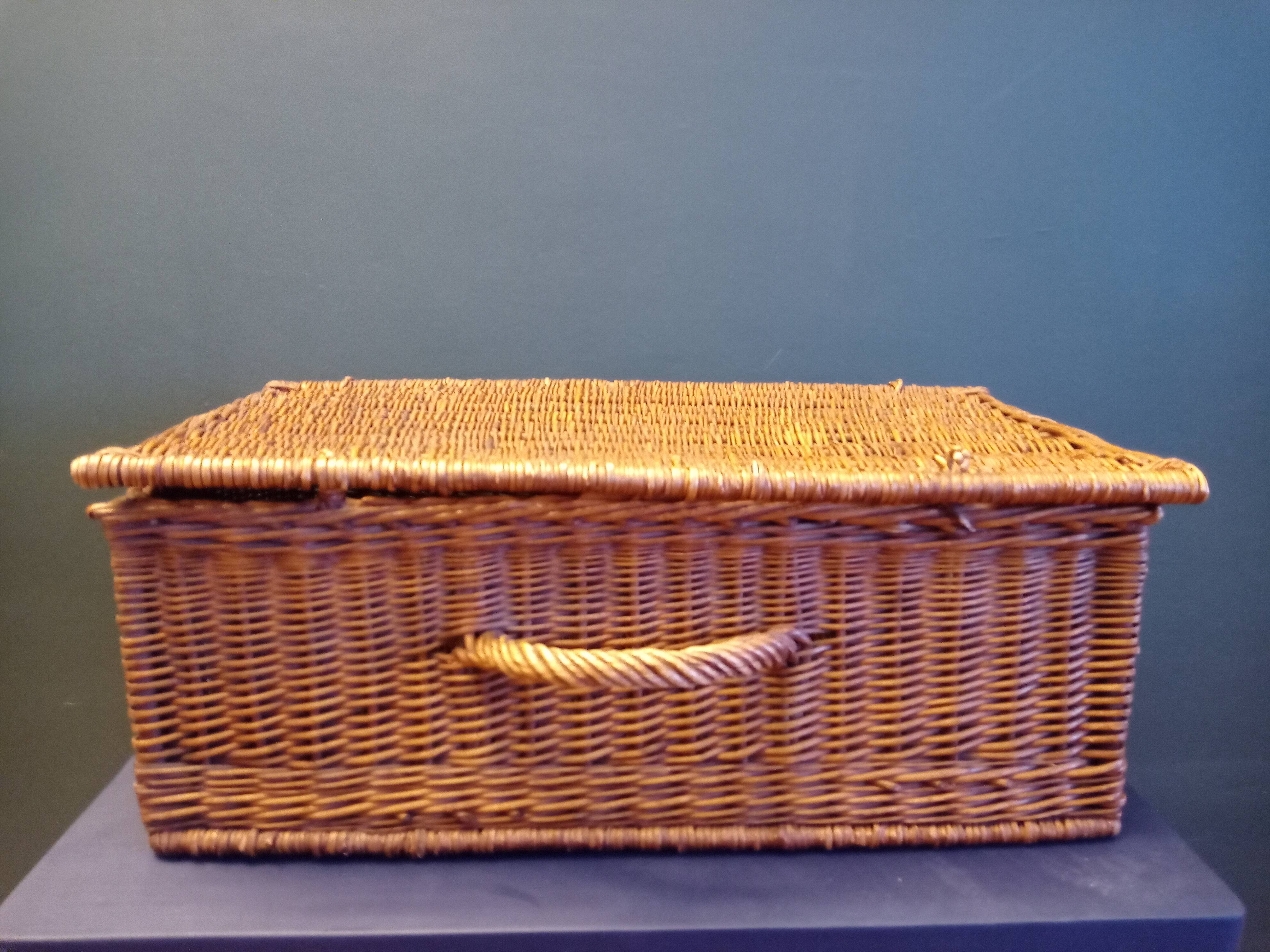Wicker trunk