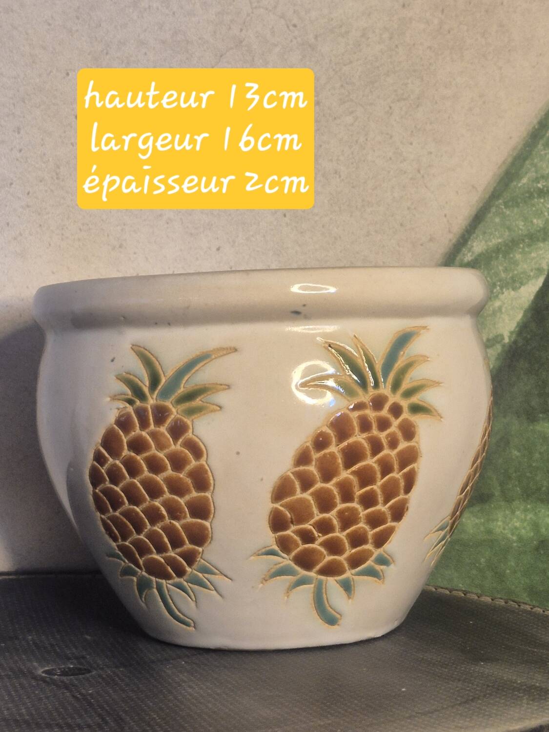 Pineapple planter