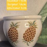 Pineapple planter