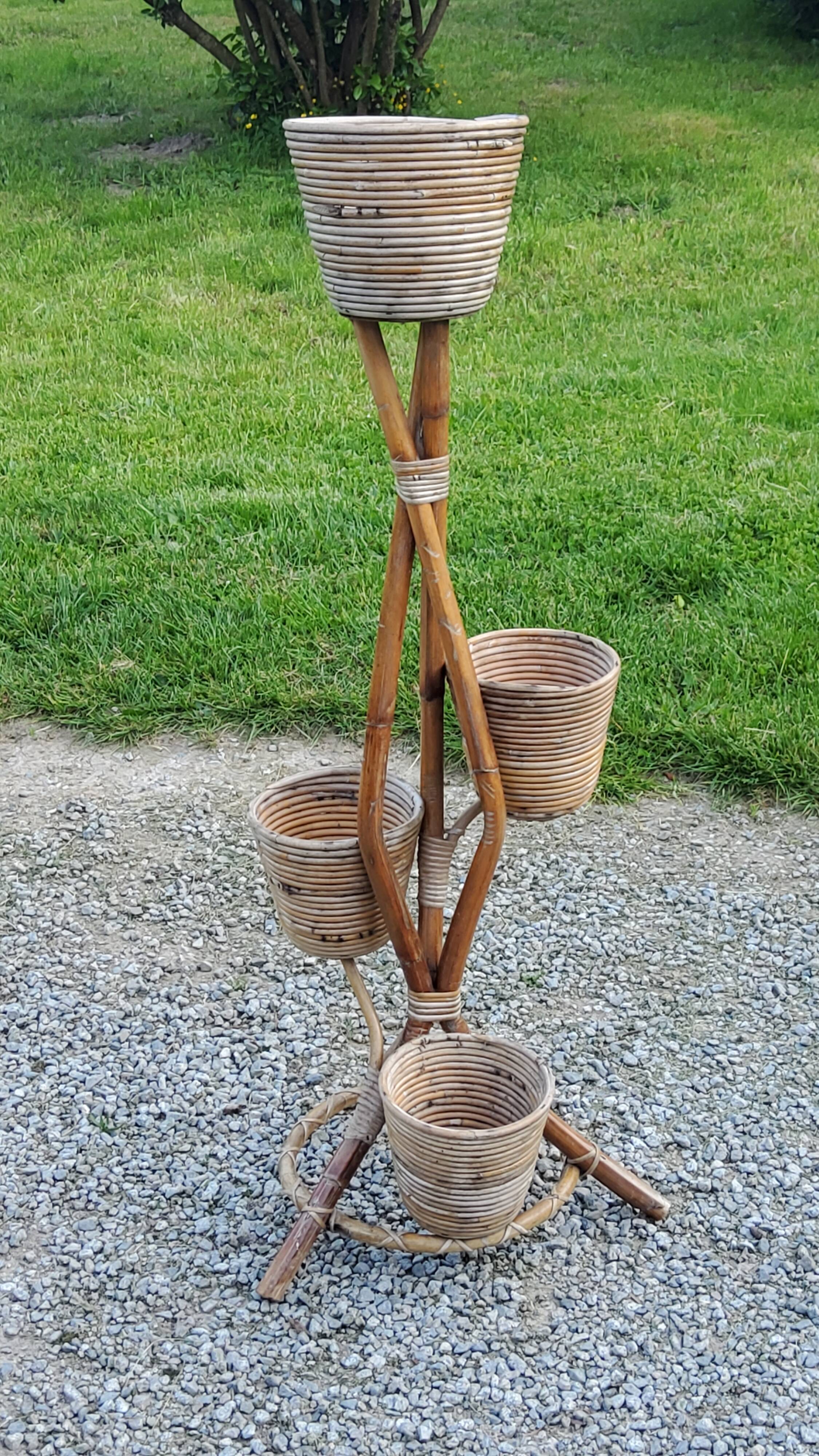 Rattan and bamboo plant holder from the 50s