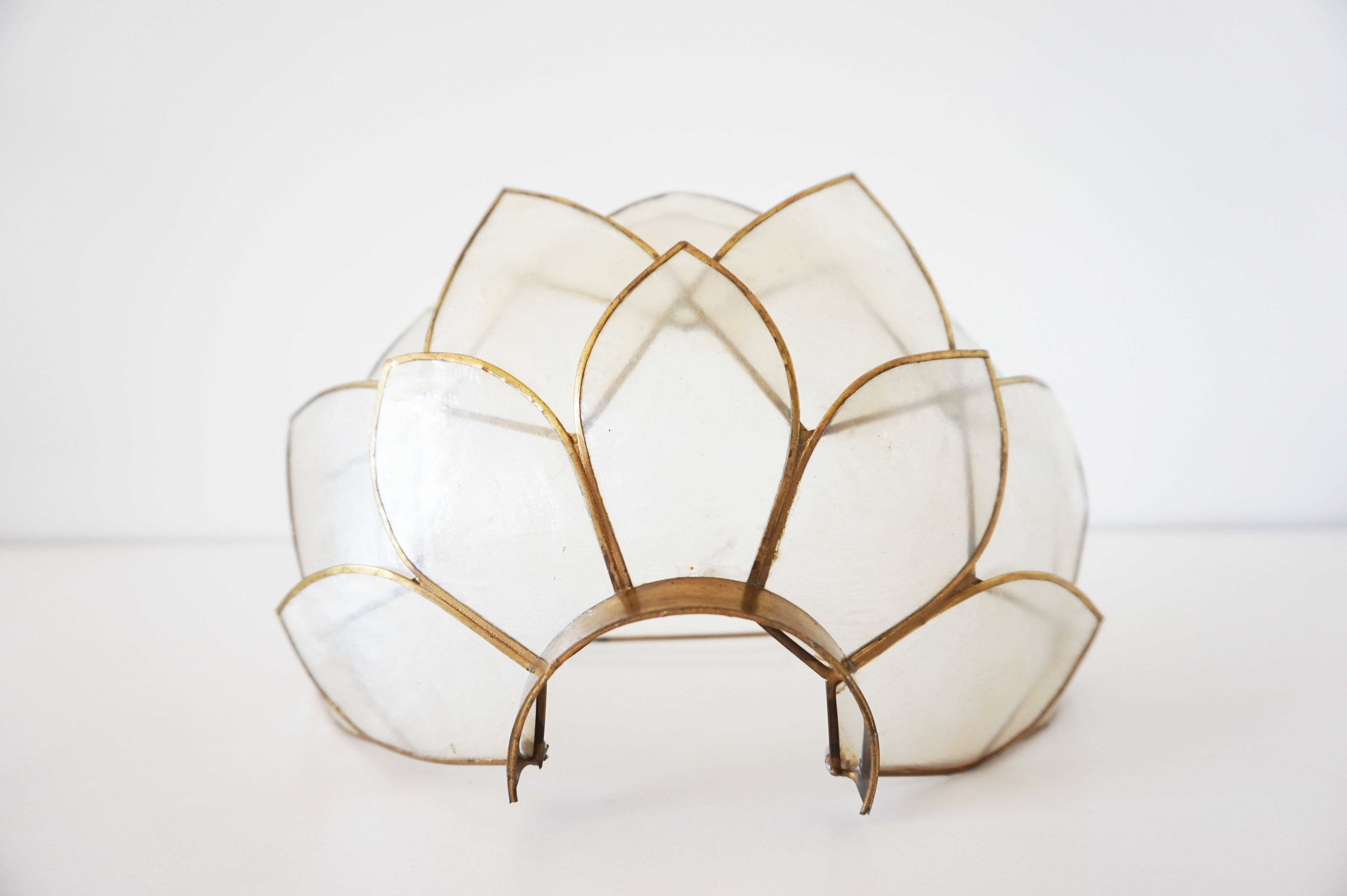 Vintage mother-of-pearl petals sconce