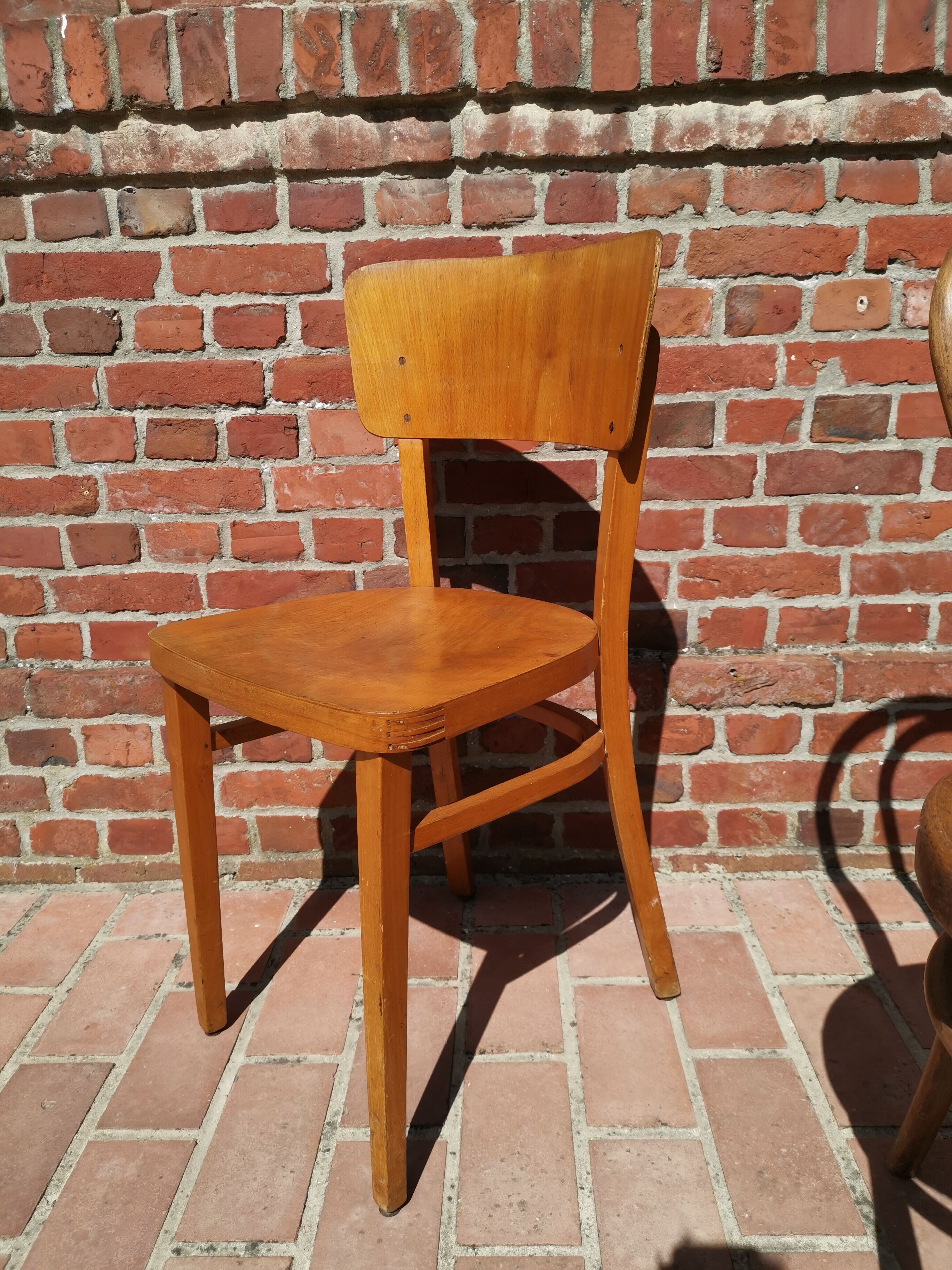 Lot of 6 chairs Jacob - Josef Kohn, Thonet, Mahieu