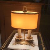 Hot water bottle lamp