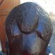 Large carved African head in exotic wood – Madagascar – 65 cm