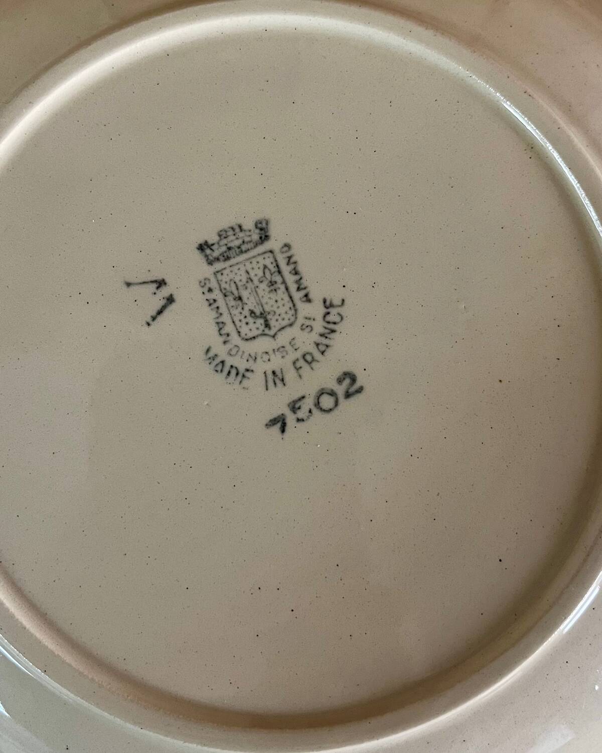 7 Saint Amand iron earth soup plates