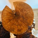 Old log