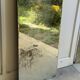 Large vintage mirror with bevelled glass.