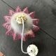 Suspension en opaline rose